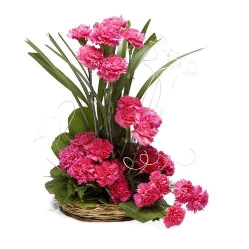 pink carnations basket
