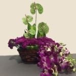 orchids-carnation-anthurium