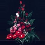 Anthurium Roses & Carnations